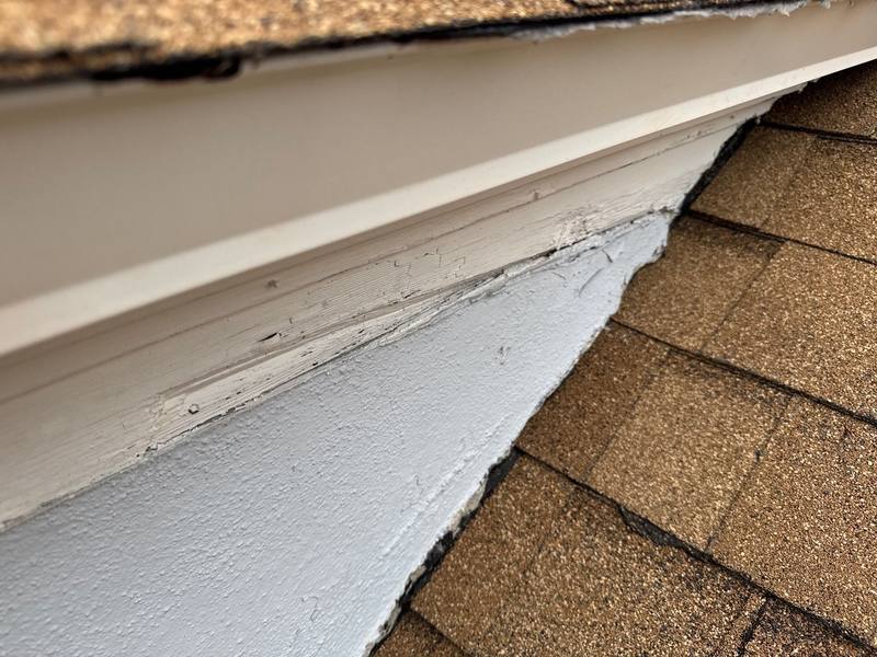roofing project near Crystal Circle in Dunedin