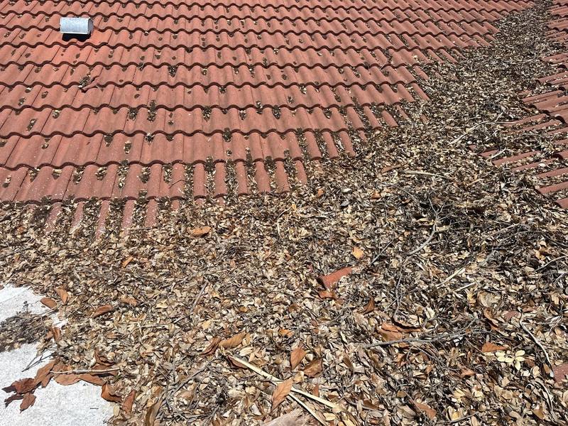 completed roofing project in St. Petersburg FL
