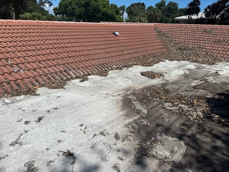 roofing project near 40th St S in St. Petersburg