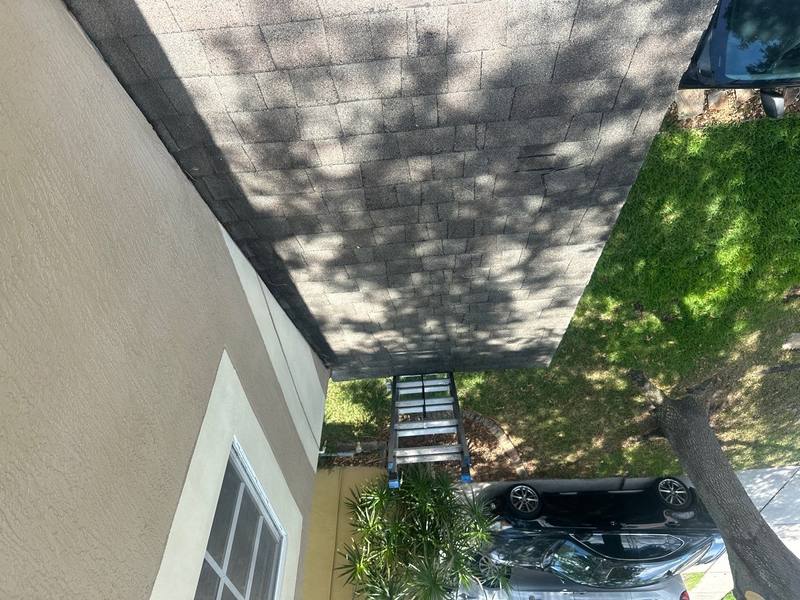 roofing project near Liriope Ct in Wesley Chapel