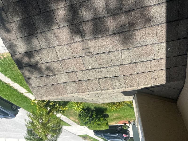 roofing project near Liriope Ct in Wesley Chapel