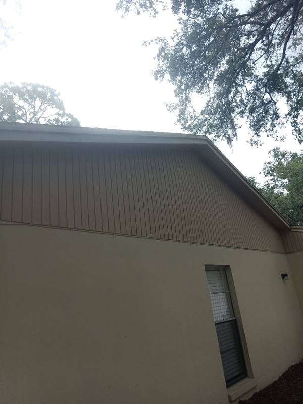 shingle roof replacement in Lutz, Florida