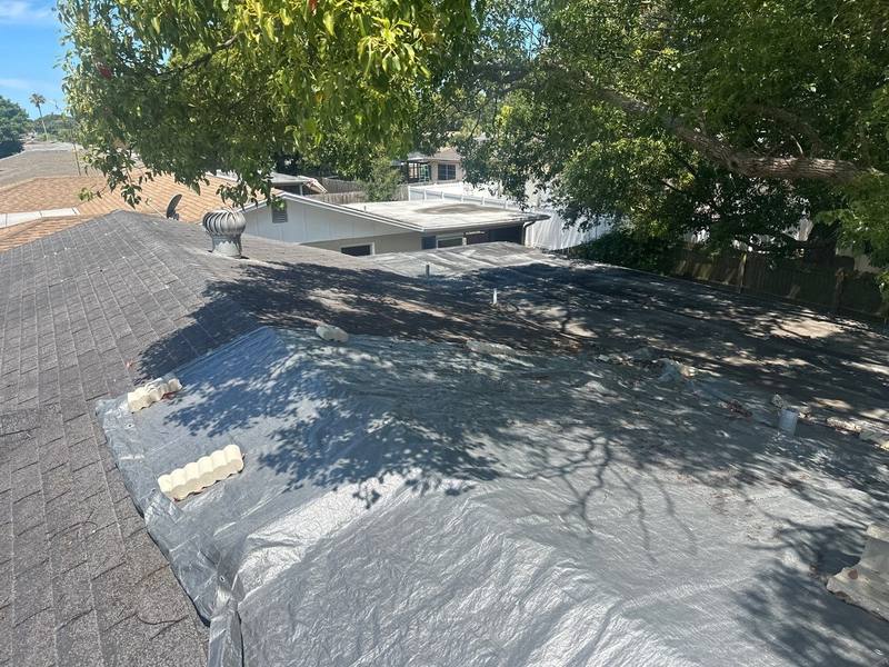 shingle roof replacement in Port Richey, Florida