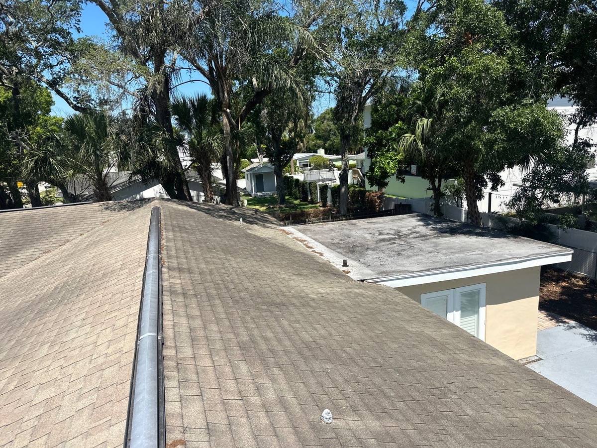 shingle roof replacement in Tampa, Florida