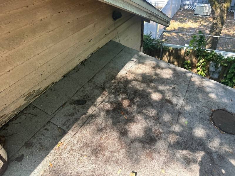 residential shingle roof replacement by Hloska Roofing in Tampa