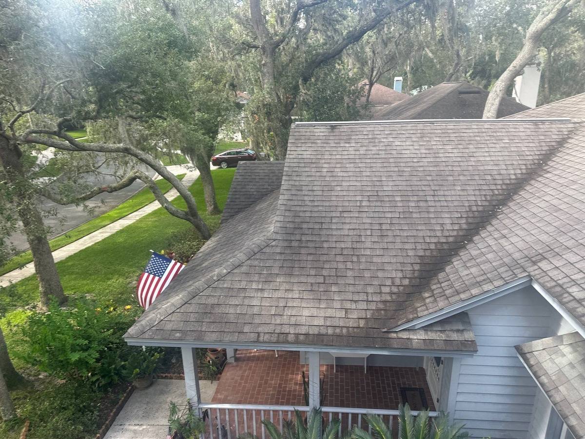 shingle roof replacement in Lutz, Florida