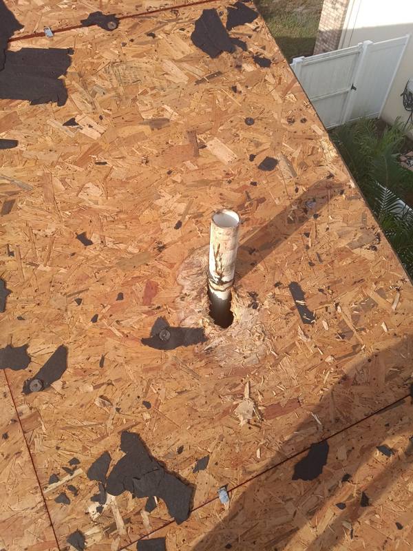 roof replacement in Palm Harbor, Florida