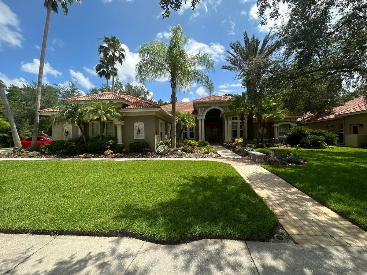 roof replacement in Tampa, Florida