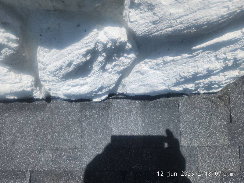 residential roof replacement by Hloska Roofing in Land O' Lakes