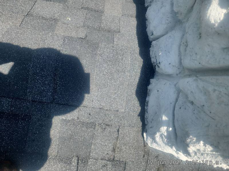 roof replacement in Land O' Lakes, Florida