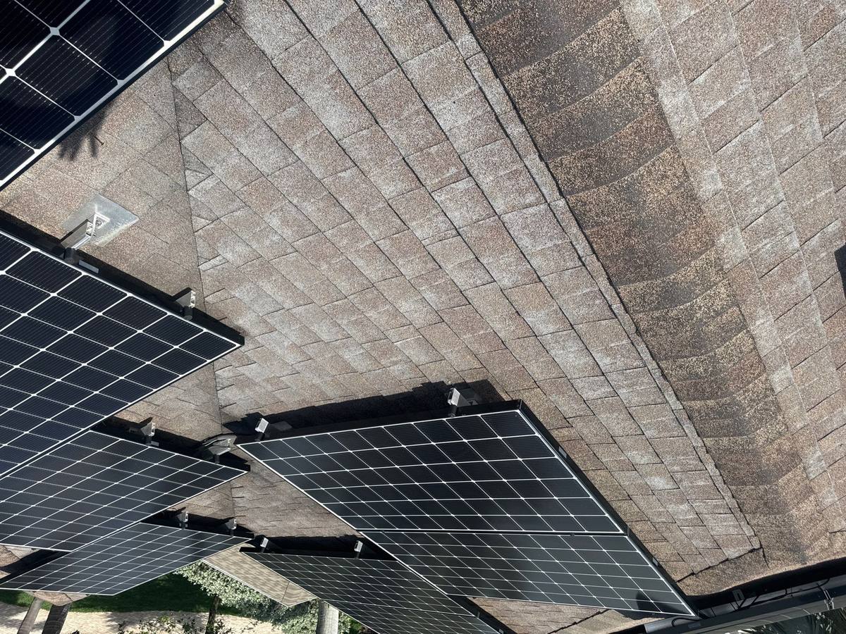 shingle roof replacement in St Petersburg, Florida