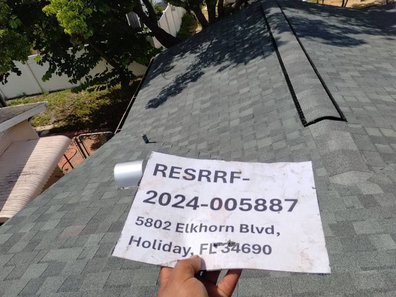 shingle roof replacement in Holiday, Florida