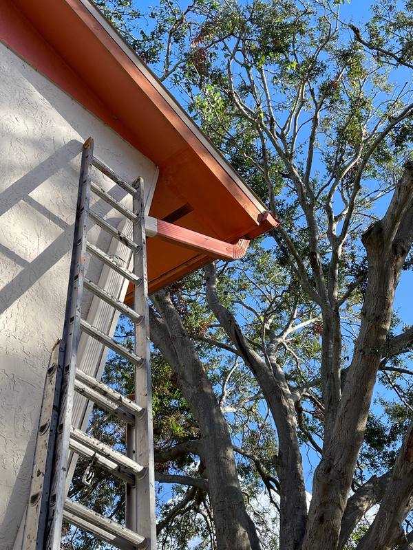 residential roof replacement by Hloska Roofing in St. Petersburg