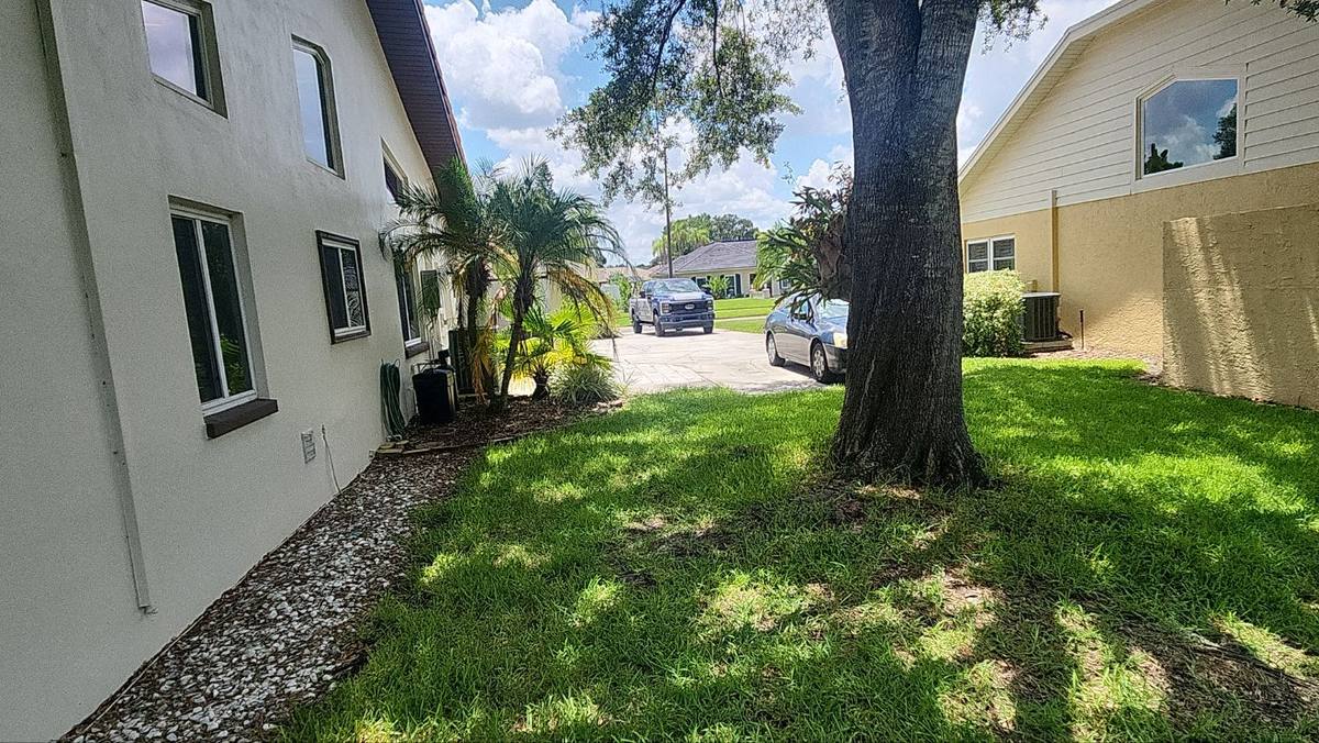 roof replacement in Tampa, Florida