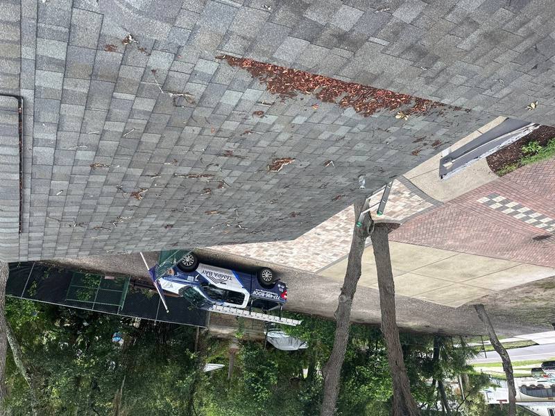 shingle roof replacement in Tarpon Springs, Florida