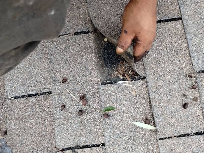 residential roof repair by Hloska Roofing in Tampa