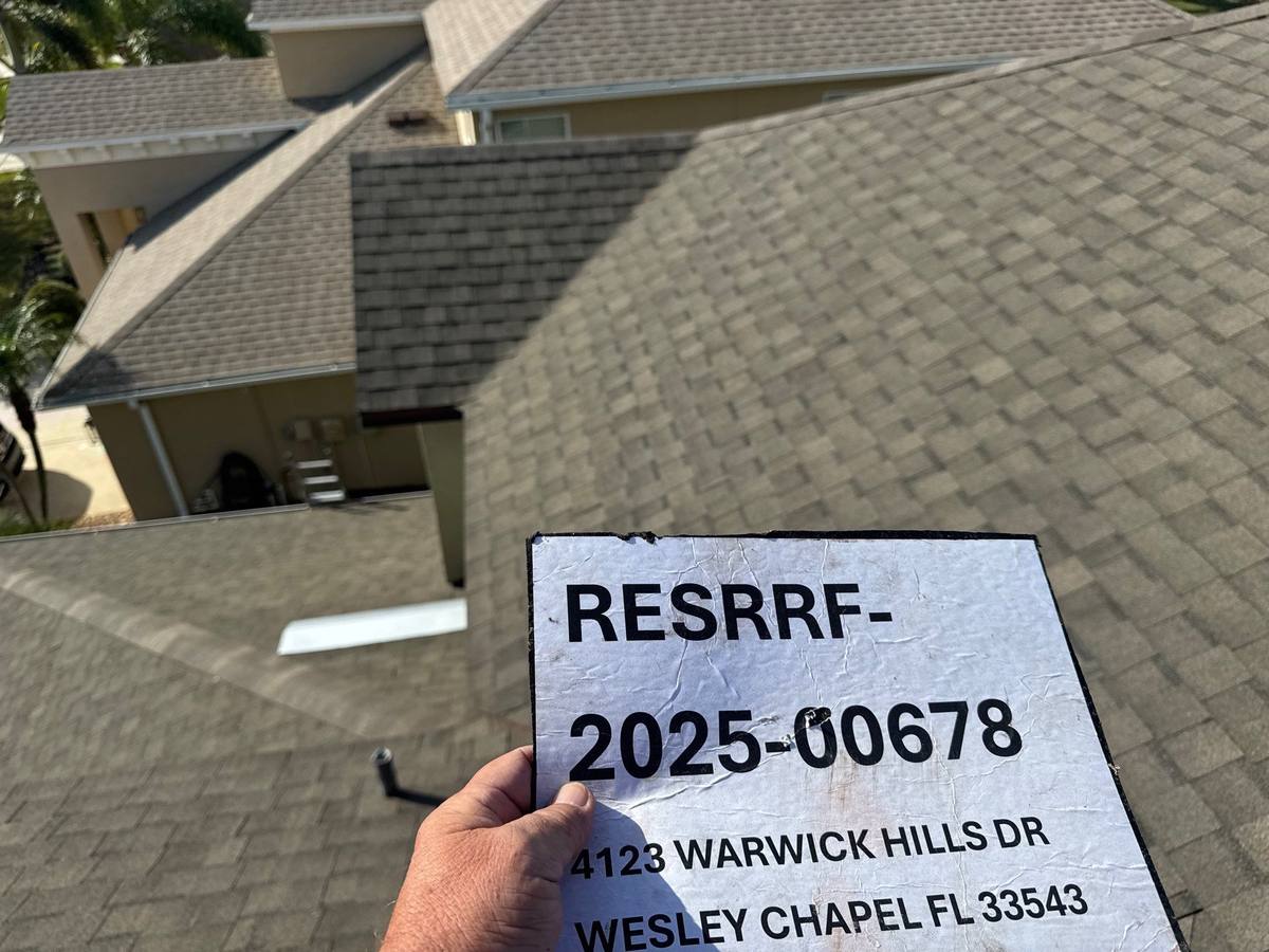 shingle roof replacement in Wesley Chapel, Florida