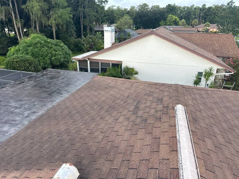 roofing project near Trevino Drive in New Port Richey