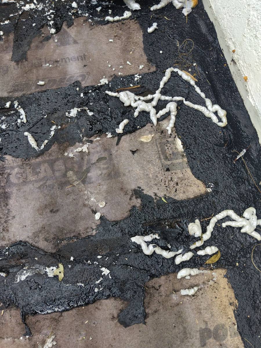 roof repair in Land O' Lakes, Florida