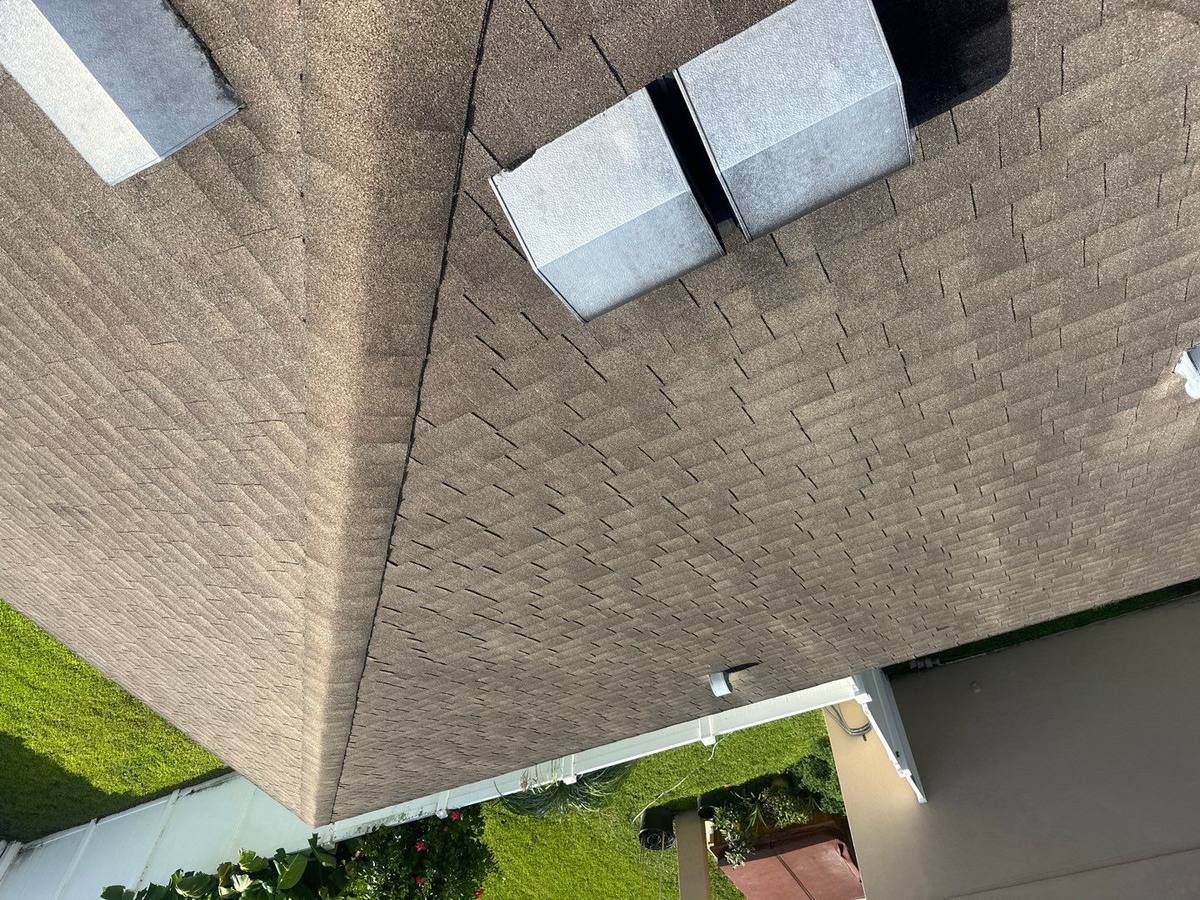 shingle roof replacement in Wesley Chapel, Florida