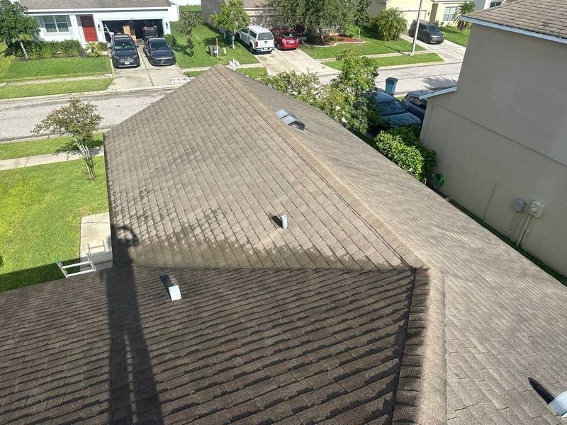 shingle roof replacement in Wesley Chapel, Florida
