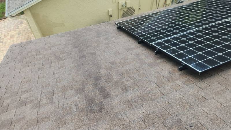 shingle roof replacement in New Port Richey, Florida