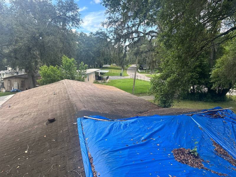 residential shingle roof replacement by Hloska Roofing in Thonotosassa