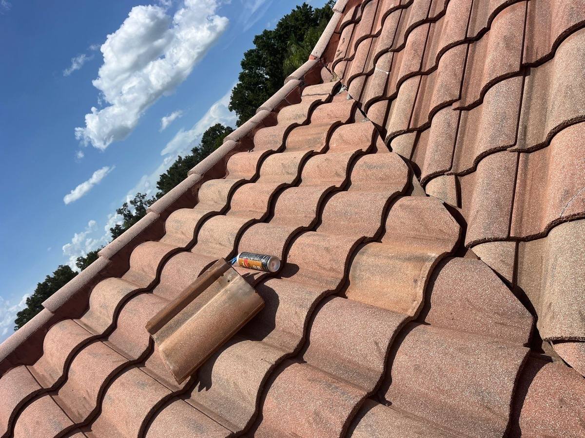 roof replacement in Dade City, Florida