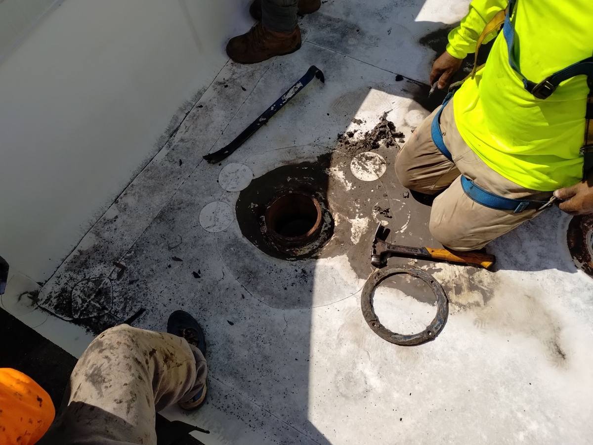 roof repair in Tampa, Florida