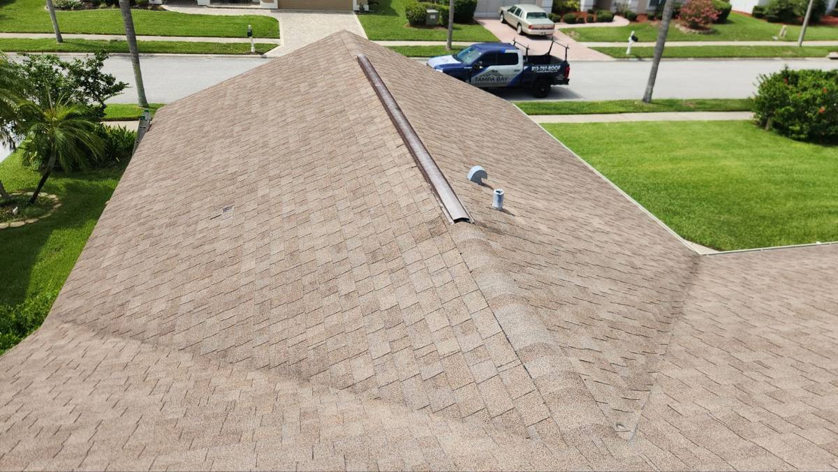 shingle roof replacement in Hudson, Florida