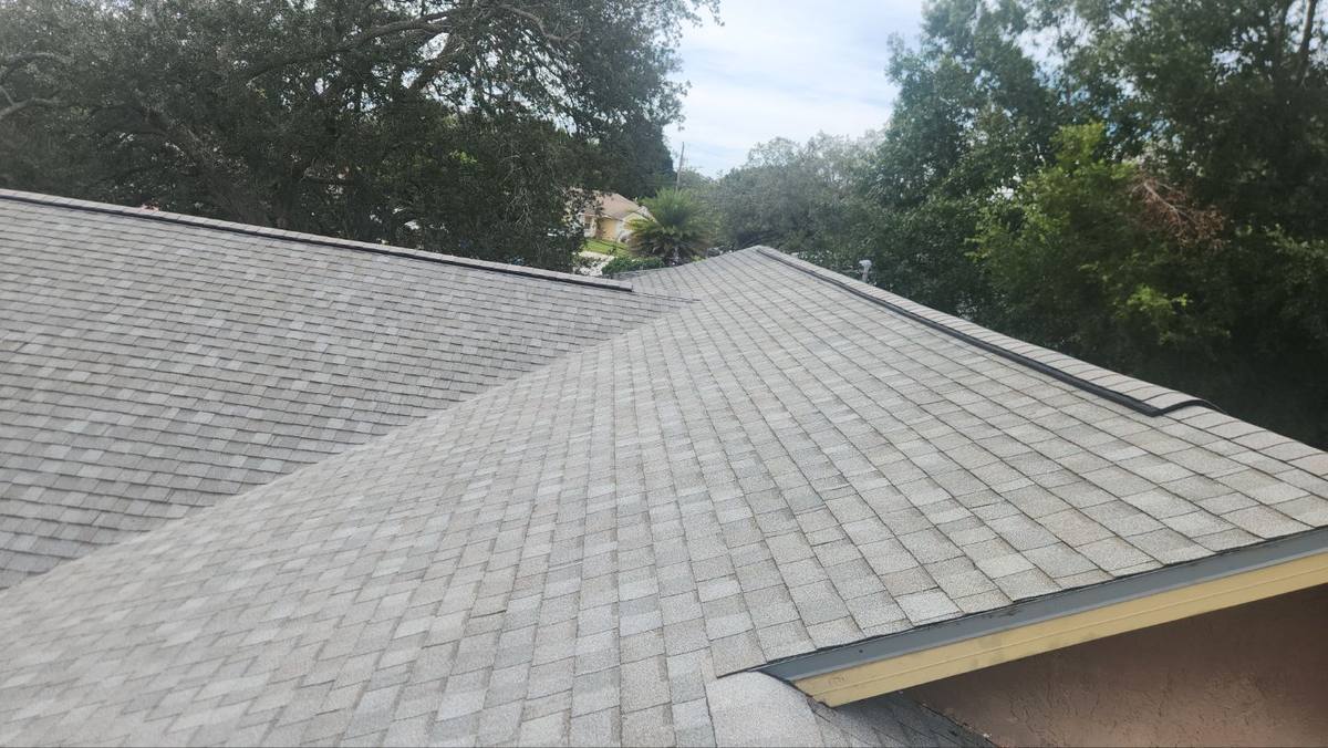 shingle roof replacement in Spring Hill, Florida