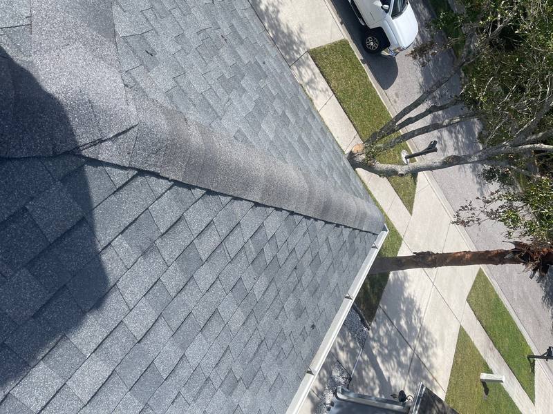 shingle roof replacement in Land O' Lakes, Florida