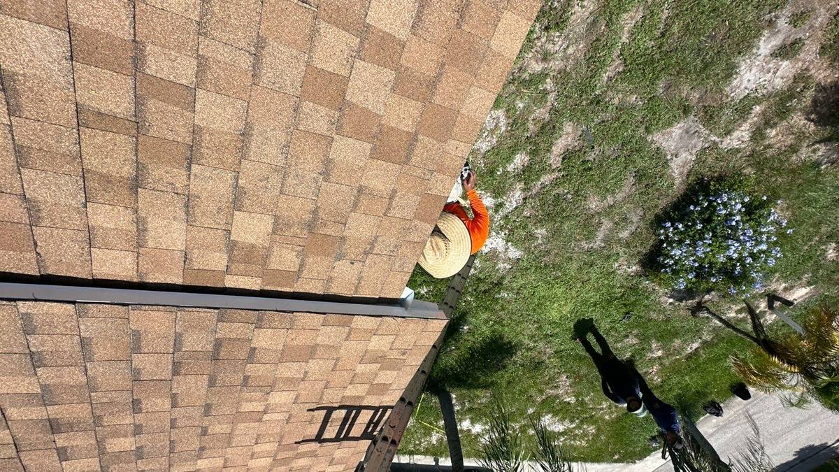 shingle roof replacement in New Port Richey, Florida