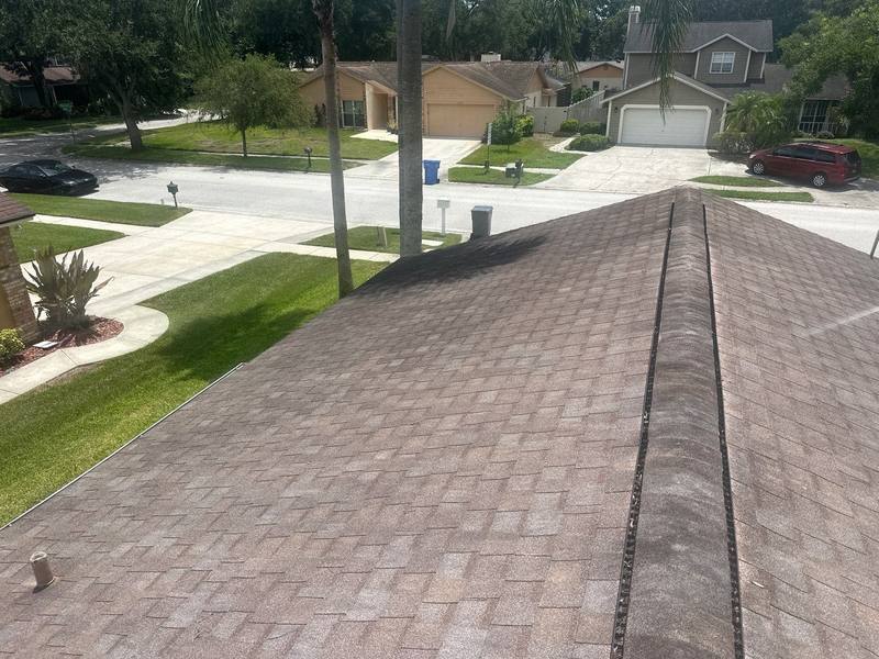 residential roof repair by Hloska Roofing in Tampa