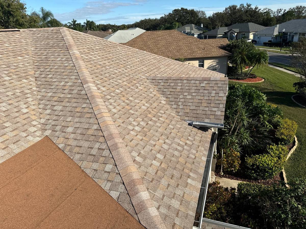 shingle roof replacement in Trinity, Florida
