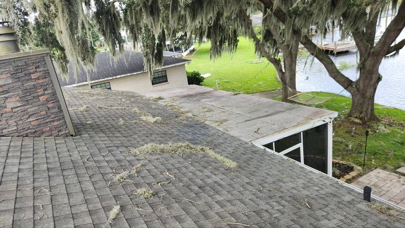 shingle roof replacement in Land O Lakes, Florida