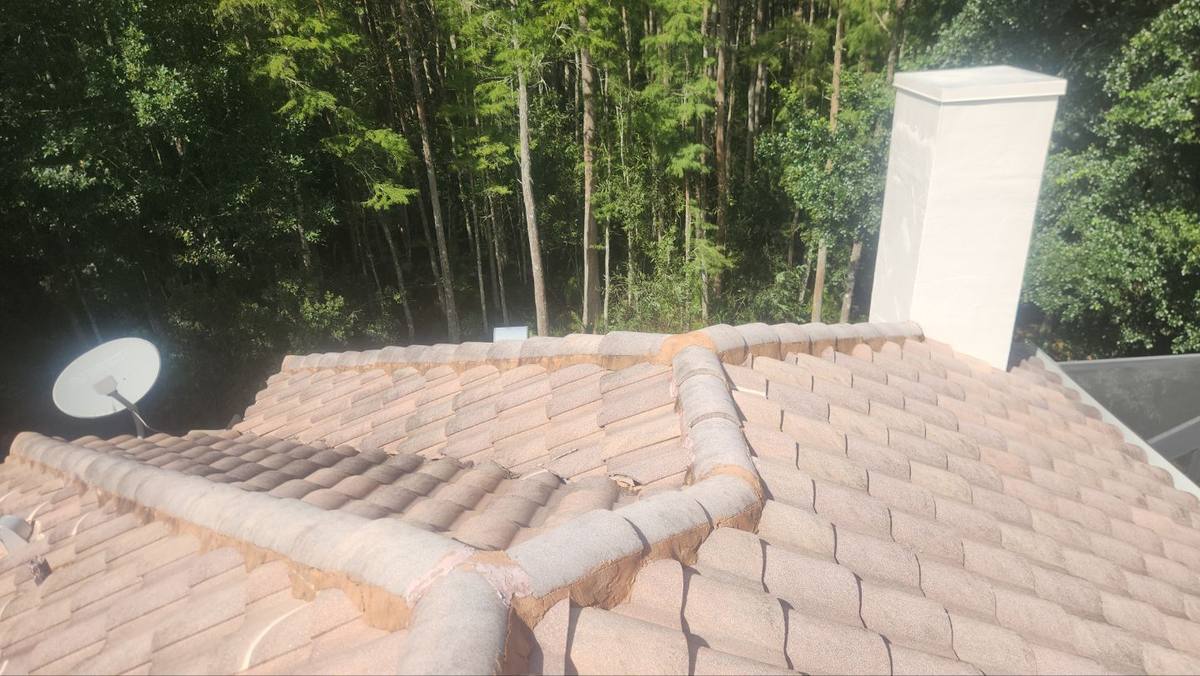 roof repair in Lutz, Florida