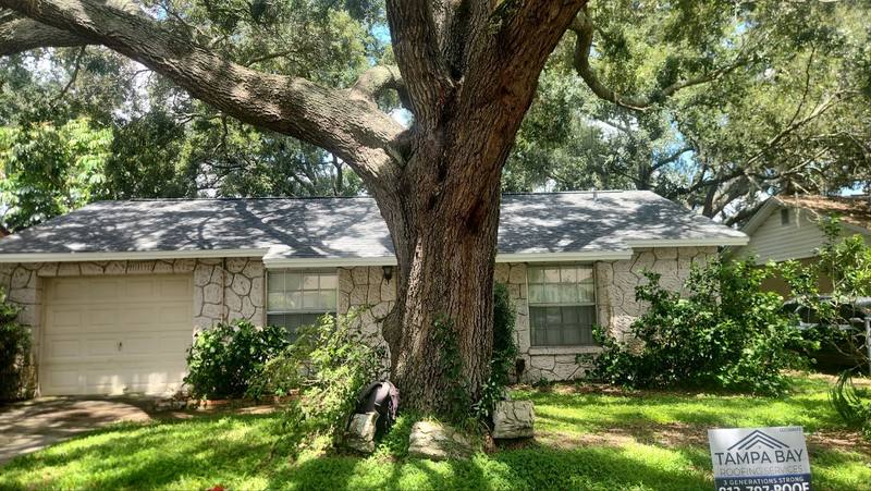 roofing project near Griswold Loop in New Port Richey