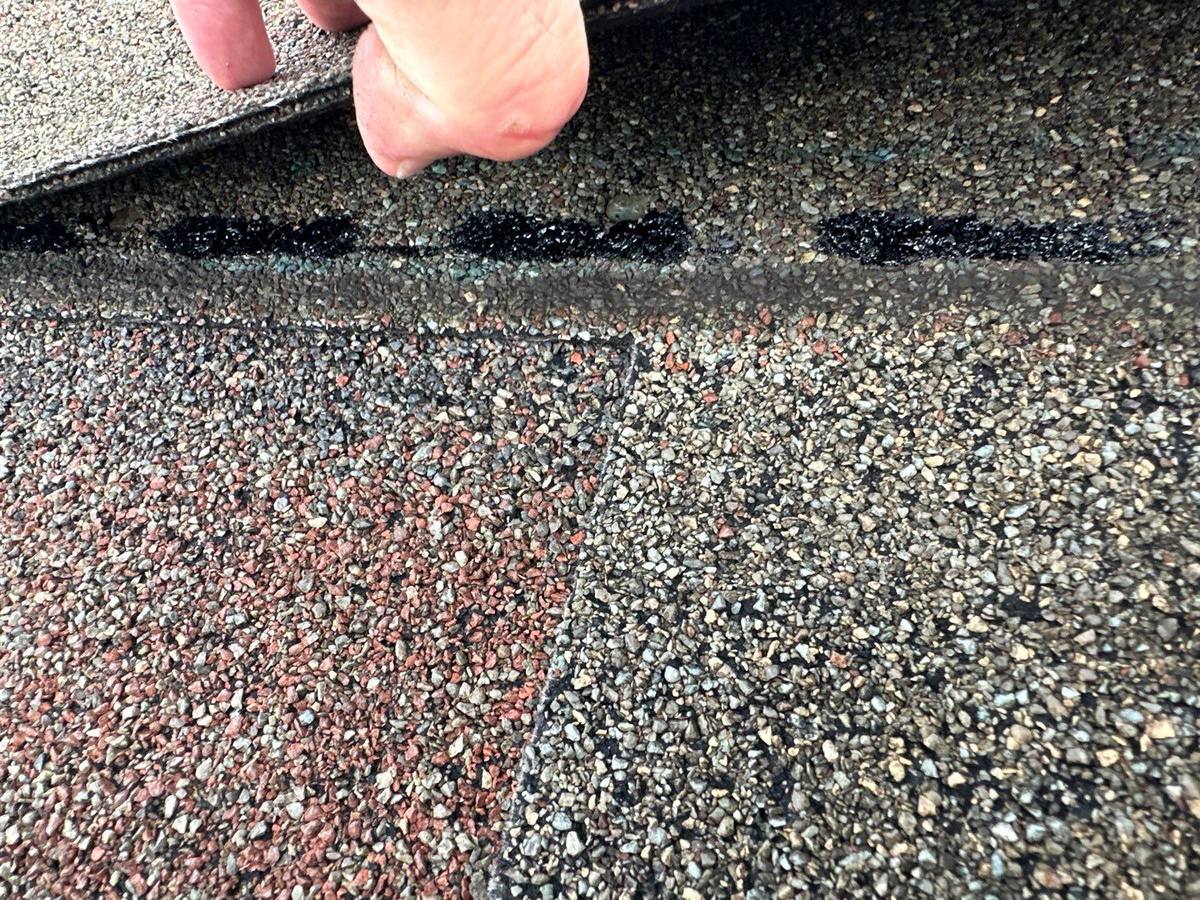 shingle roof replacement in Tampa, Florida