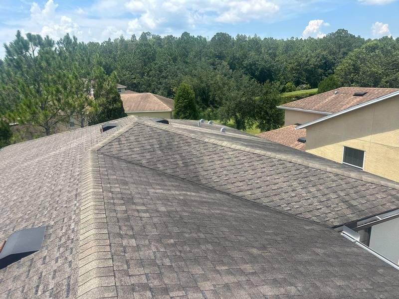 residential shingle roof replacement by Hloska Roofing in Tampa
