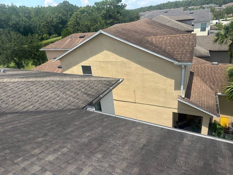 shingle roof replacement in Tampa, Florida