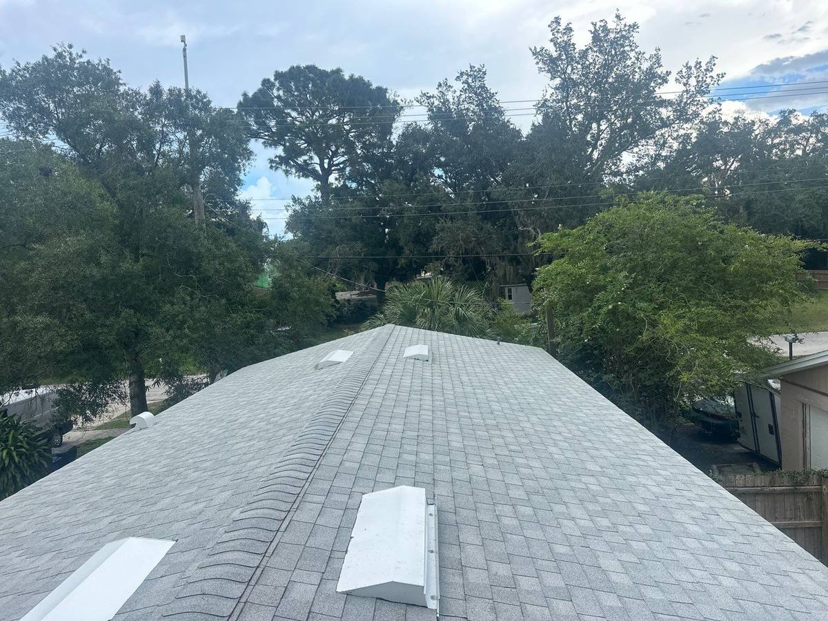shingle roof replacement in Tampa, Florida