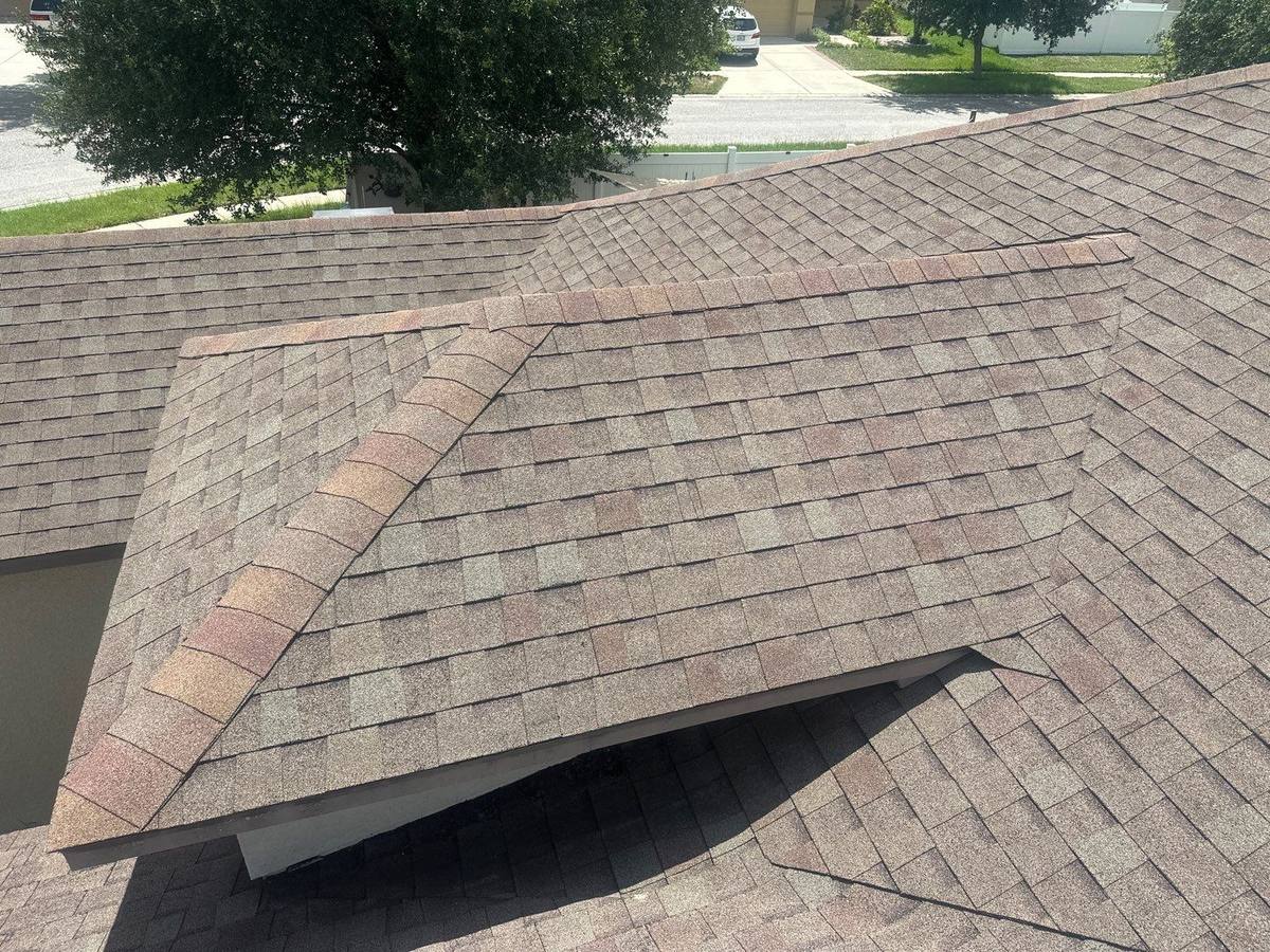 shingle roof replacement in Spring Hill, Florida