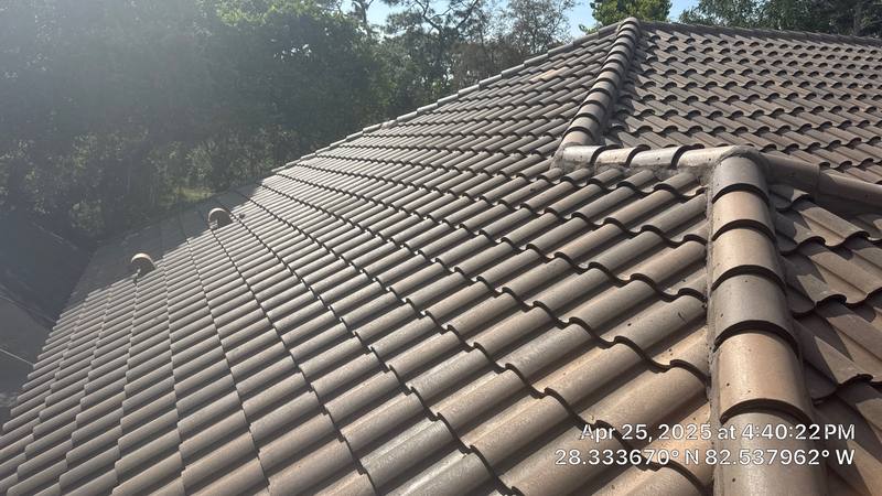 shingle roof replacement in Spring Hill, Florida