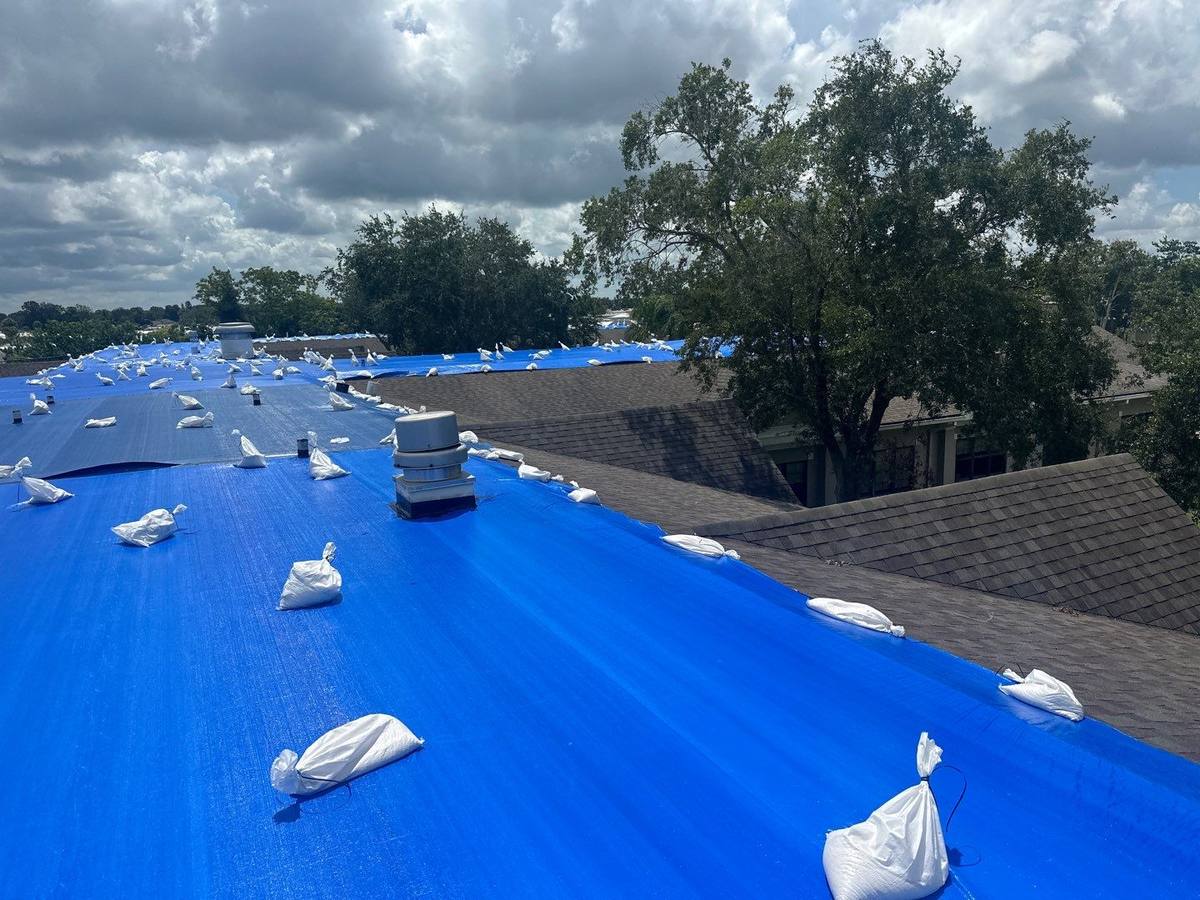 shingle roof replacement in Hudson, Florida