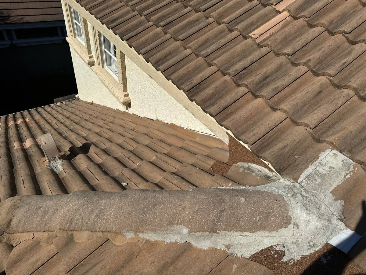 roof repair in Trinity, Florida