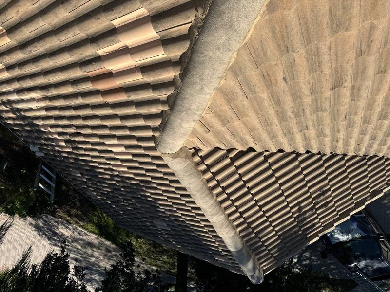 roof repair in Trinity, Florida