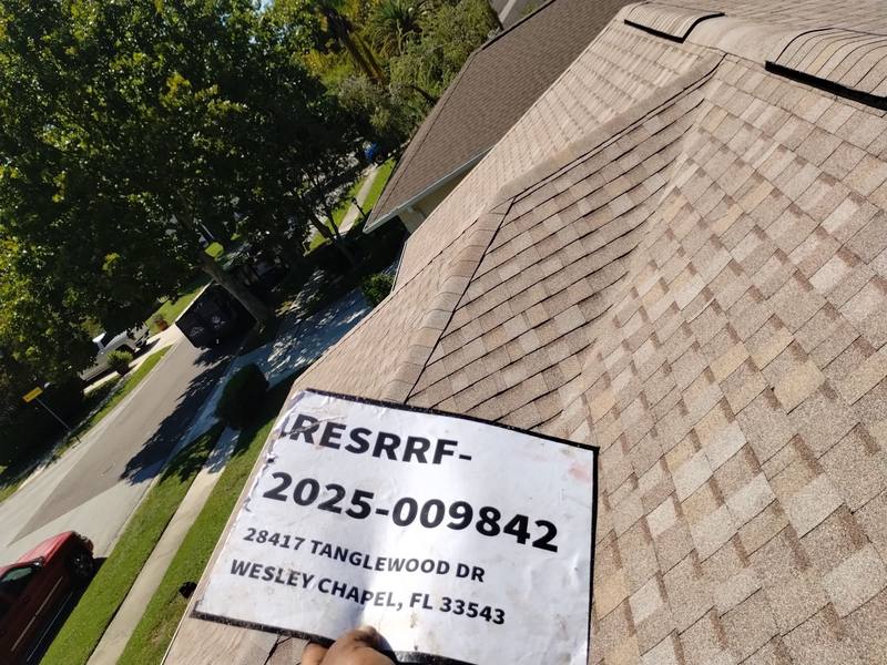 shingle roof replacement in Wesley Chapel, Florida