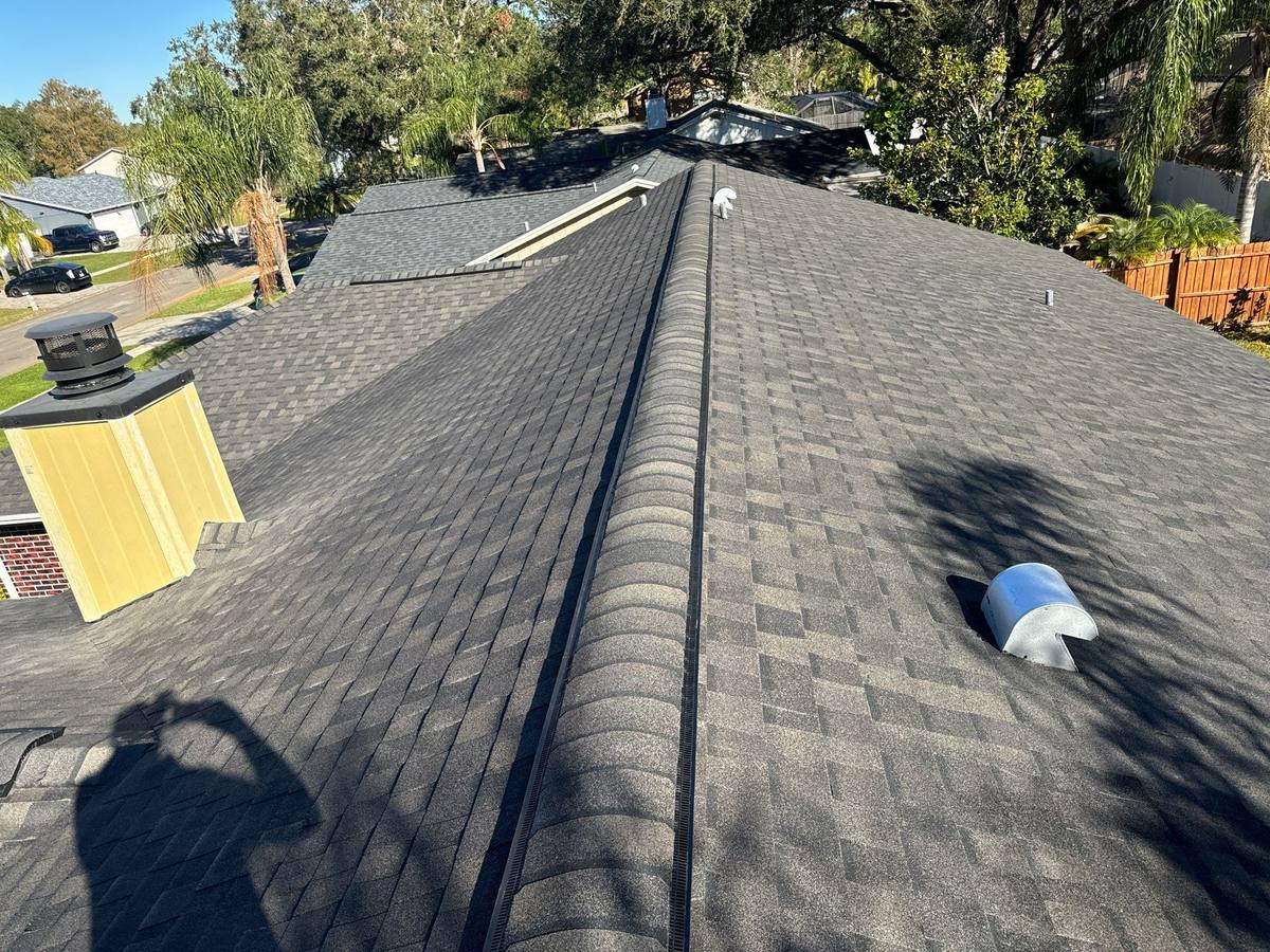 shingle roof replacement in Tampa, Florida