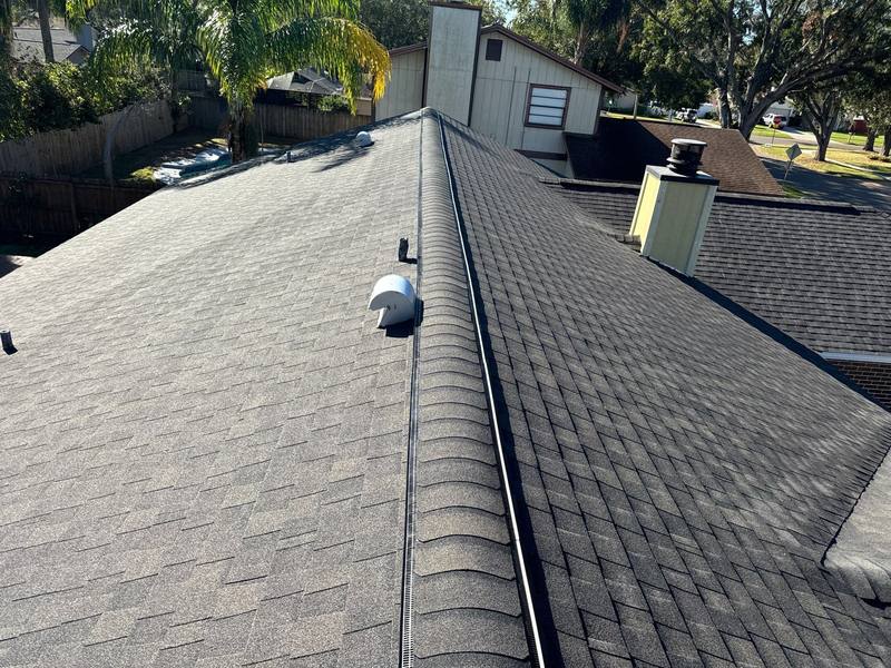 residential shingle roof replacement by Hloska Roofing in Tampa